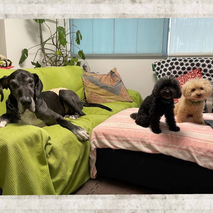 5fb851c0 37cf 4a2b 848a d6bb2e2e7278 1625438132595