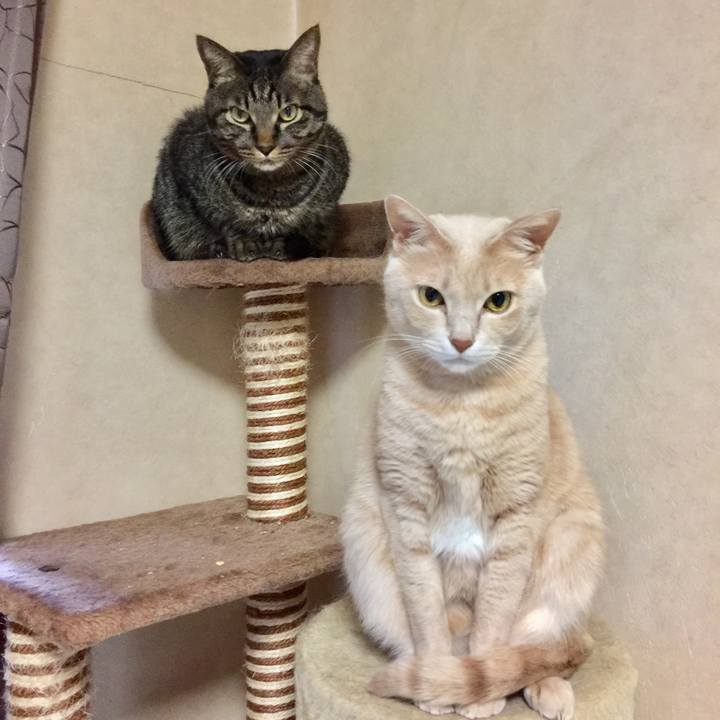 5fb8769c 837b 4a51 b931 42718bdbc557 1510890894937