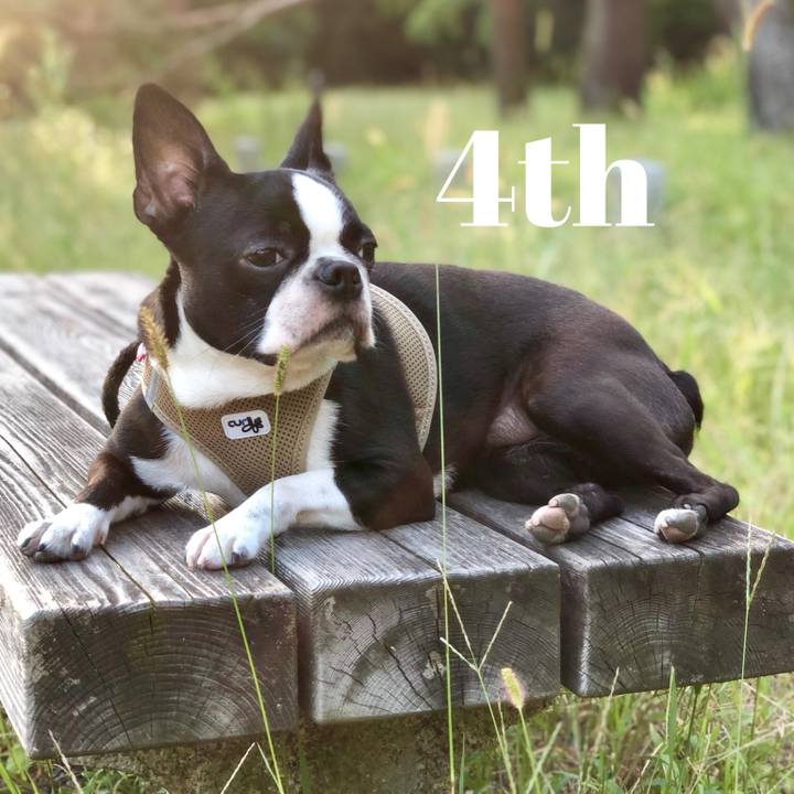 5fb8be2e c96b 48b1 b8dd 6c5673743cf3 1568946373038