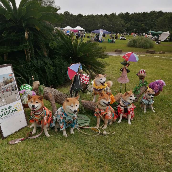 5fb8dfc6 81a7 4cb9 9a36 150b214a091d 1686320224895