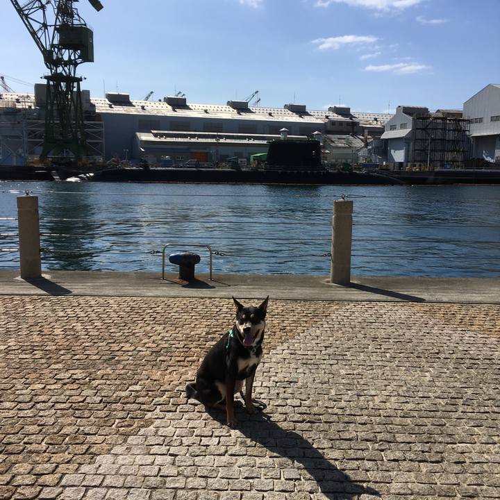 5fb99e99 3366 4b98 9826 49b31f98e34f 1520668153973