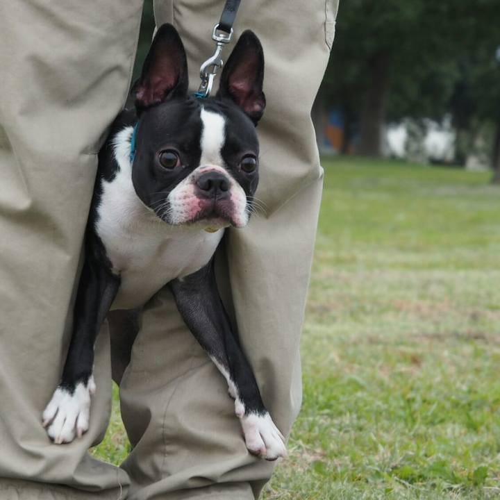 5fb9a486 3759 445a 89e7 7322dafd8f2d 1541302700027