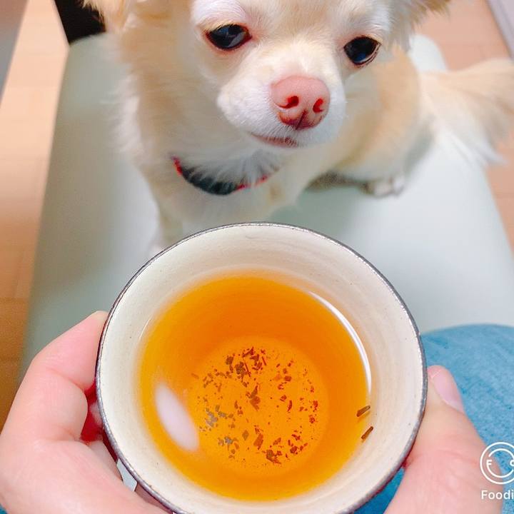 5fb9a5db 1785 4c02 a453 956e9104df85 1632739381048