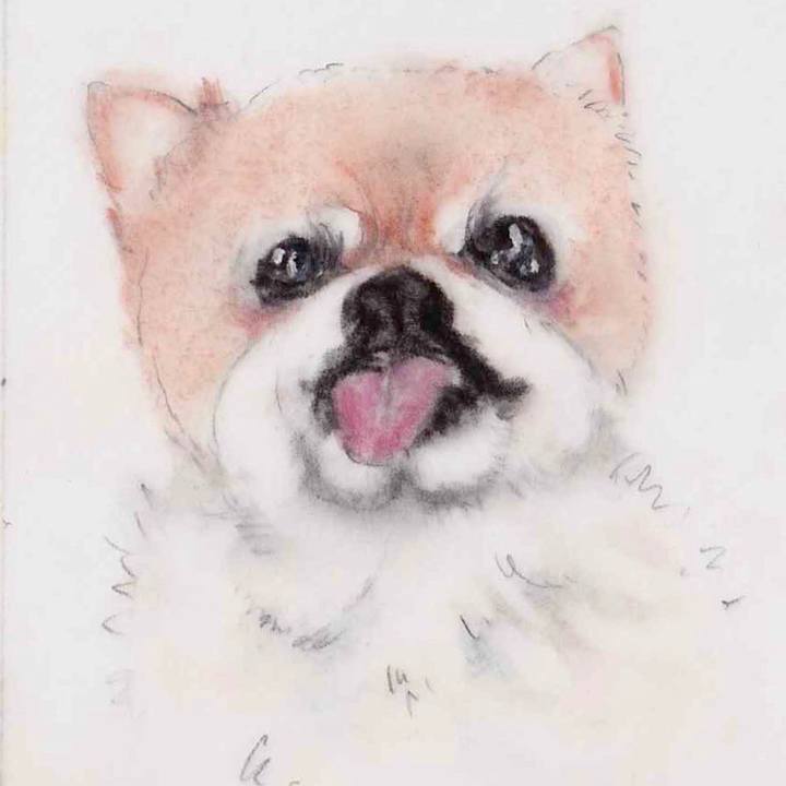 5fb9a5db 9c10 44f5 b17b 6cd3f778c356 1632702618410