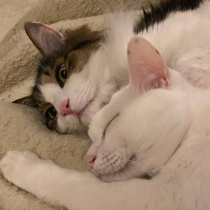 5fb9a60d 1583 44db 8b75 cac1e89e9ef5 1665354506213