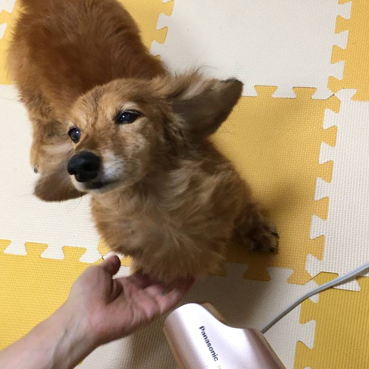 5fb9d677 c18d 4c0f 84db a8a1bf2bc908 1622982577693