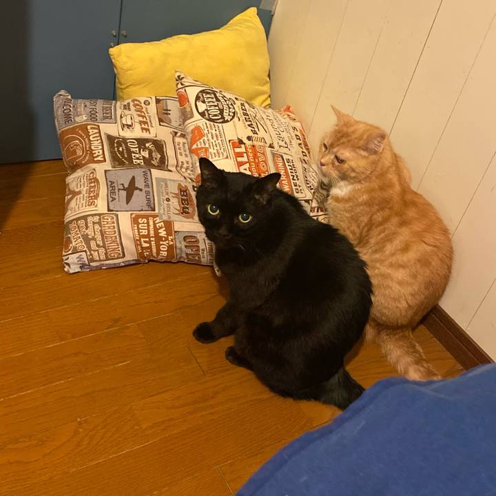 5fb9da11 0342 4b86 847d 57fd5dea2b52 1635634986738