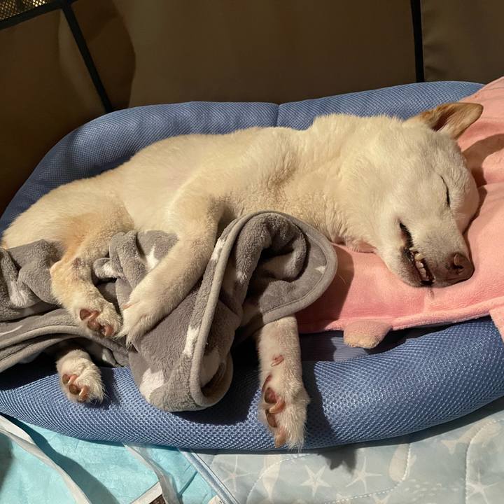 5fb9ddef 3dde 43ad b480 797f2b3b1cb2 1657637376182