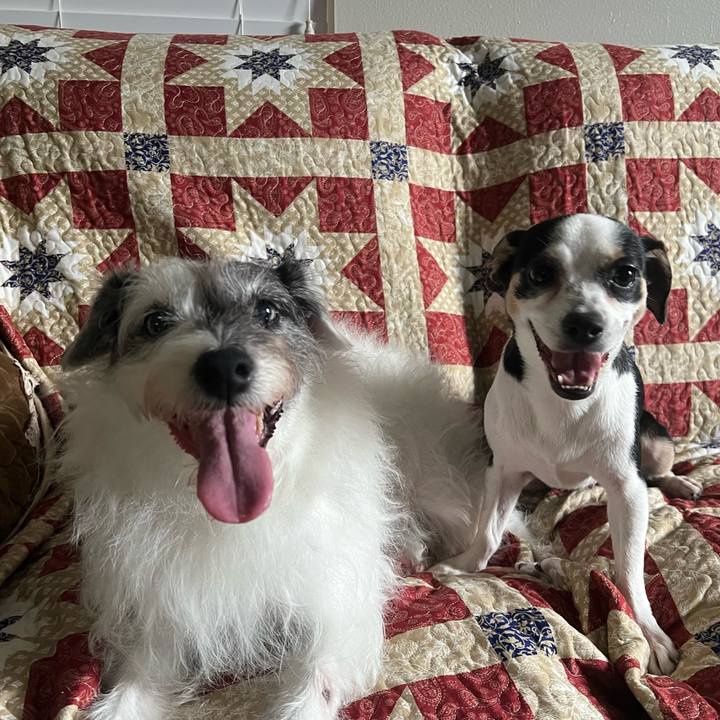 5fba19ef 7544 432e 9f97 f3919af65f94 1715723982082