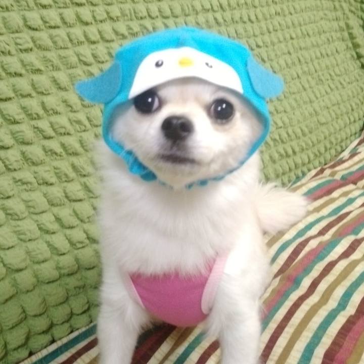 5fba1dc8 b720 4dbd acfa eebeb1b7c809 1636155071391