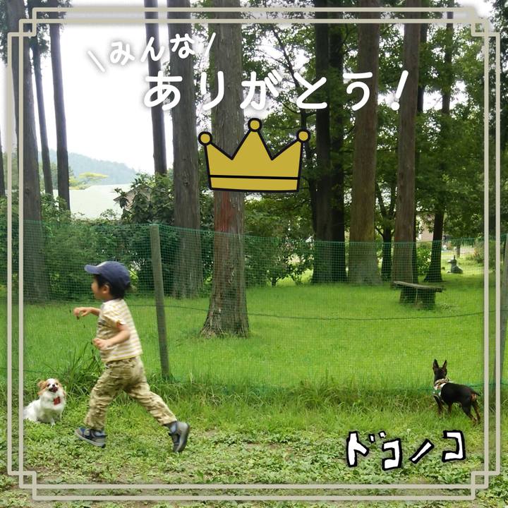 5fba5baf cceb 44bd b78d a1013fc9d179 1622900033772