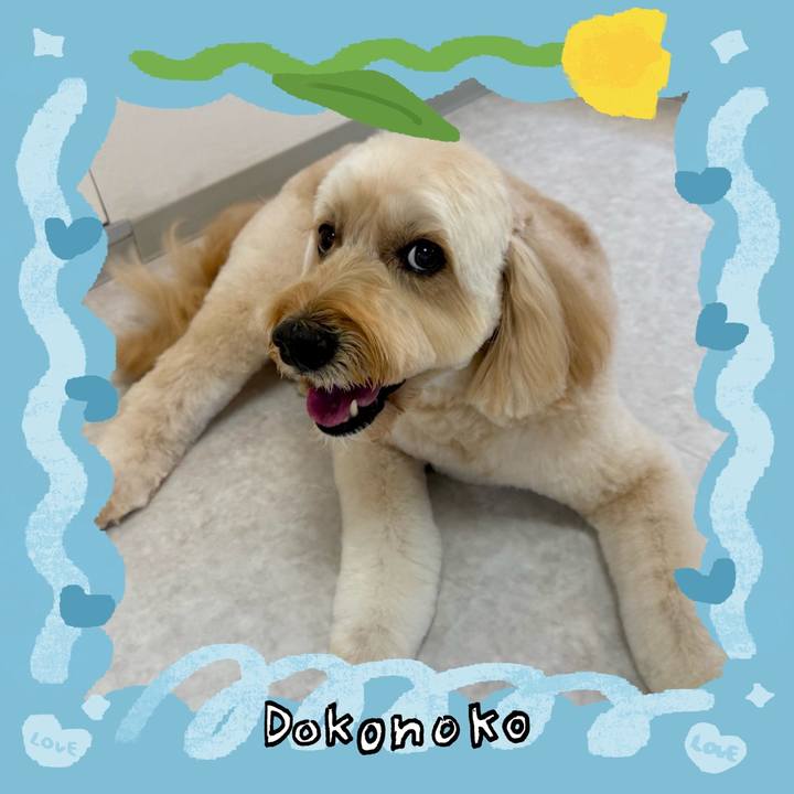 5fbaa635 ecb4 41a5 8ca3 9637759930aa 1771938009577