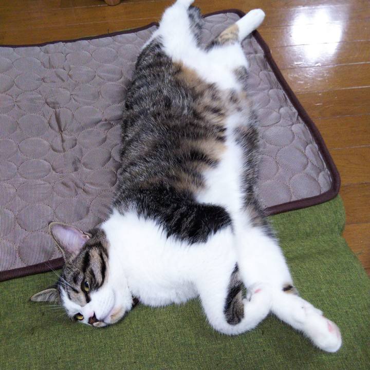 5fbab446 3f1c 482b 83b3 17ecf4ca01ce 1623470389479