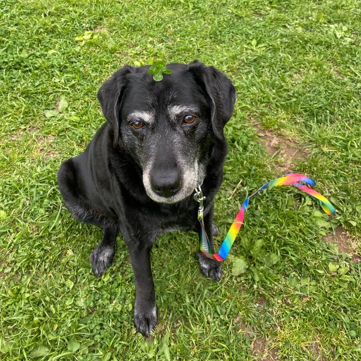 5fbade5d 5d92 40ea acd6 9bfdbeb1b615 1681458345132