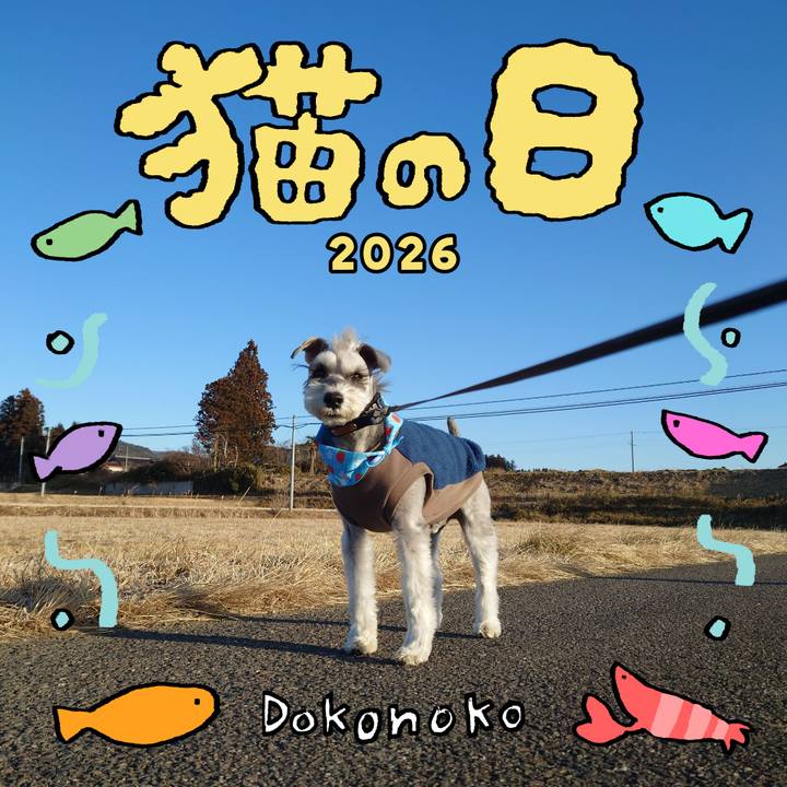 5fbaef18 d587 48a5 a897 73619609ef89 1771765505748