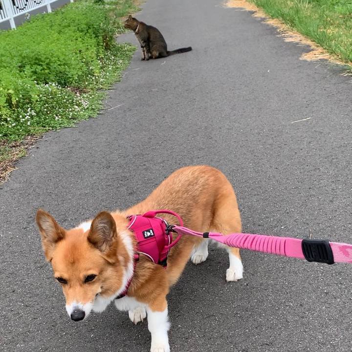 5fbaf058 bfd5 4e90 a73e 9383f5dcdeee 1660439726496