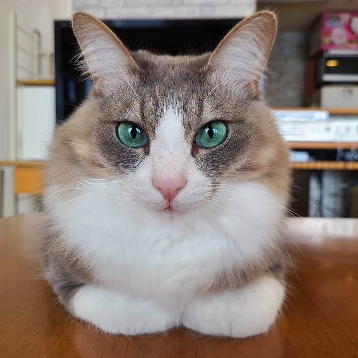 5fbaf2c9 f43a 43e3 be11 41fbb4abbe8c 1620791669147