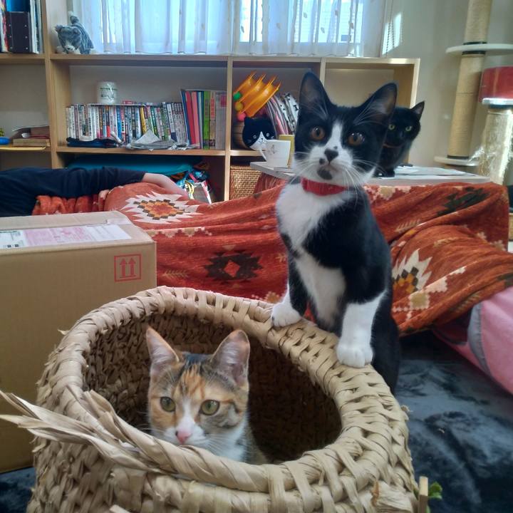 5fbb0e89 30af 4b84 b929 9c1d6e69028d 1577592283903