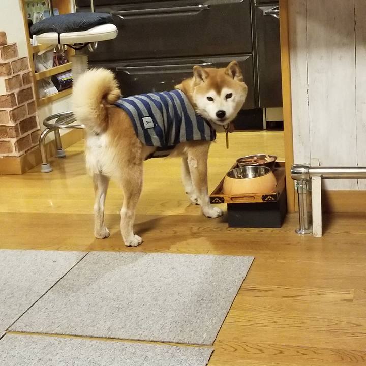 5fbb29be bac0 491f ad2f f66164545993 1613293336406