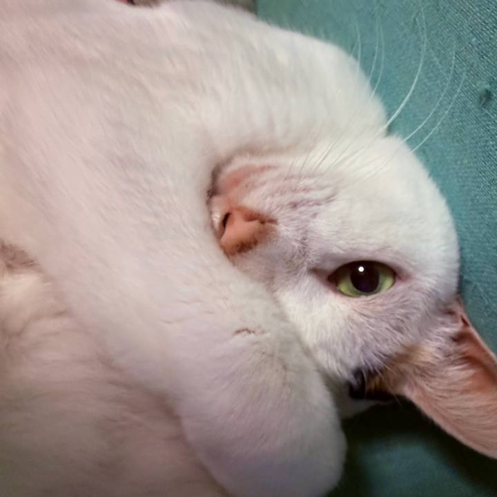 5fbba19c d8a9 4349 9e6f 8d84b203f22b 1766760249485