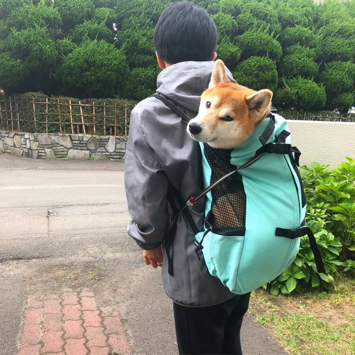 5fbba27f cb77 4704 870f 676ad00c7be8 1538280668019