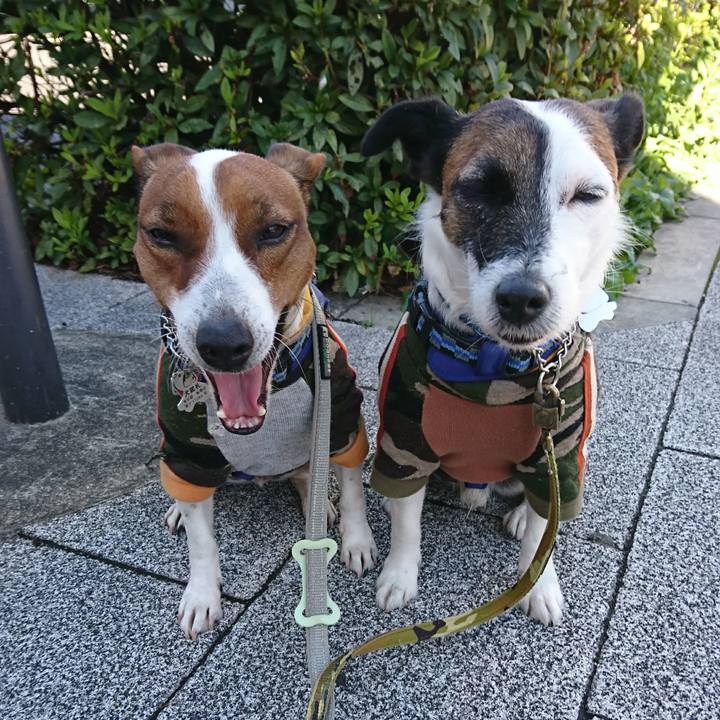 5fbcd78c 82e7 4bf3 b0bd d84cd31bea33 1604449457072