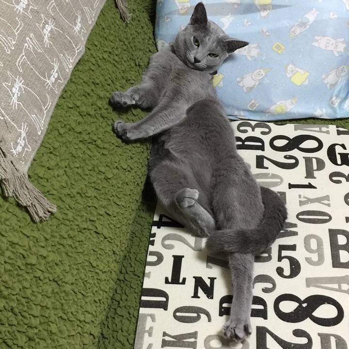 5fbce3d2 4d1a 438b b1a2 f8ac917ba306 1530093069586