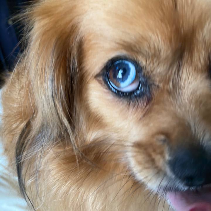 5fbd3faa f4d7 45bb 8abd 01218c114f31 1630532969904