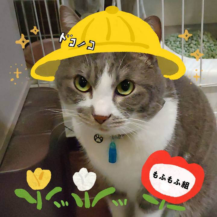 5fbd4886 b887 4f6c bd0b 3d2974b303f2 1712233503636