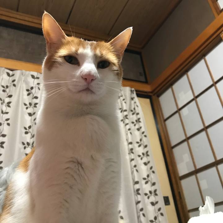 5fbd8a59 853b 47b0 a162 2c1d5d1cd3f0 1520591672765