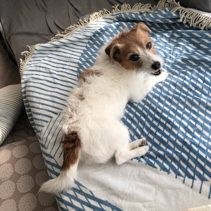 5fbd8a63 c4e2 4496 bb08 d2dbadbacc64 1698410056460