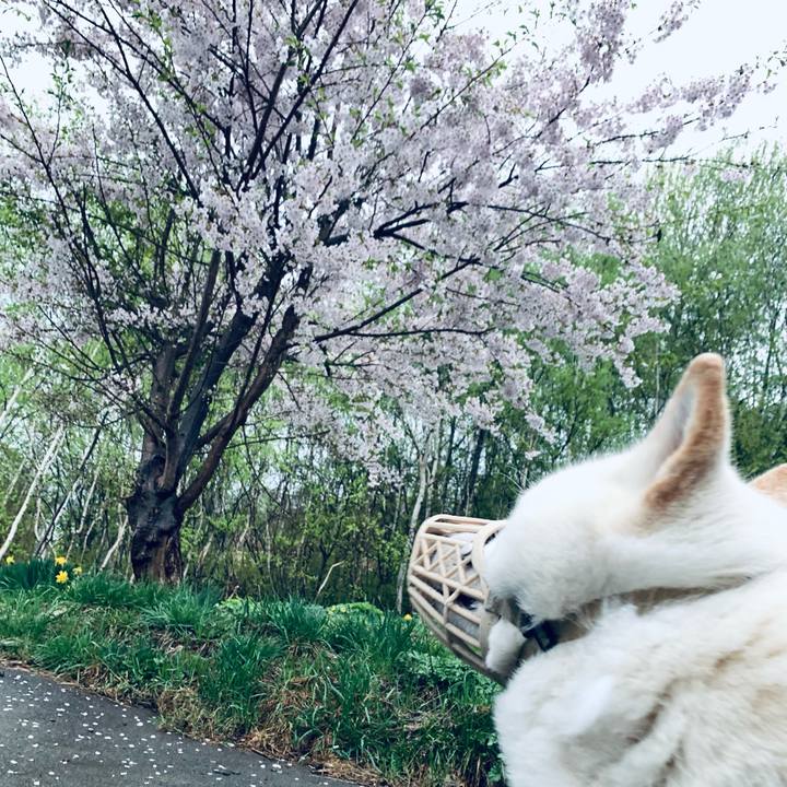 5fbd8f16 113c 4a65 89d0 e84ea9f90eb6 1620423968997