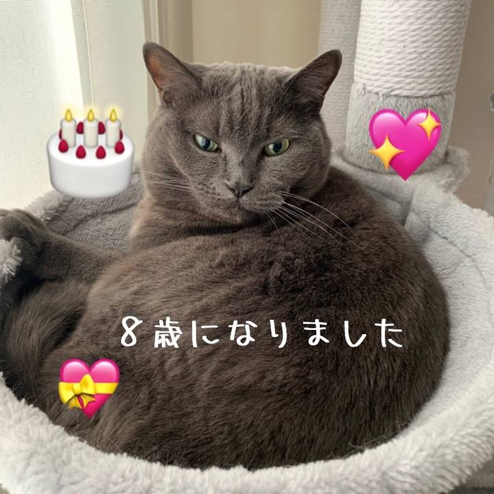 5fbda4bd 26b8 418f b23b 4d3347a792d1 1677799039018