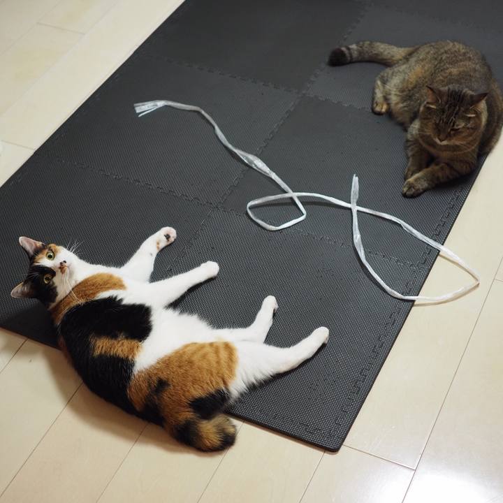 5fbda5e5 0446 4f10 a66e bb4453ca74e7 1530488596203