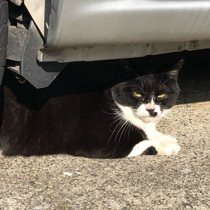 5fbdaeda d0f0 4b84 ab42 e56fb81b02f1 1541968119449