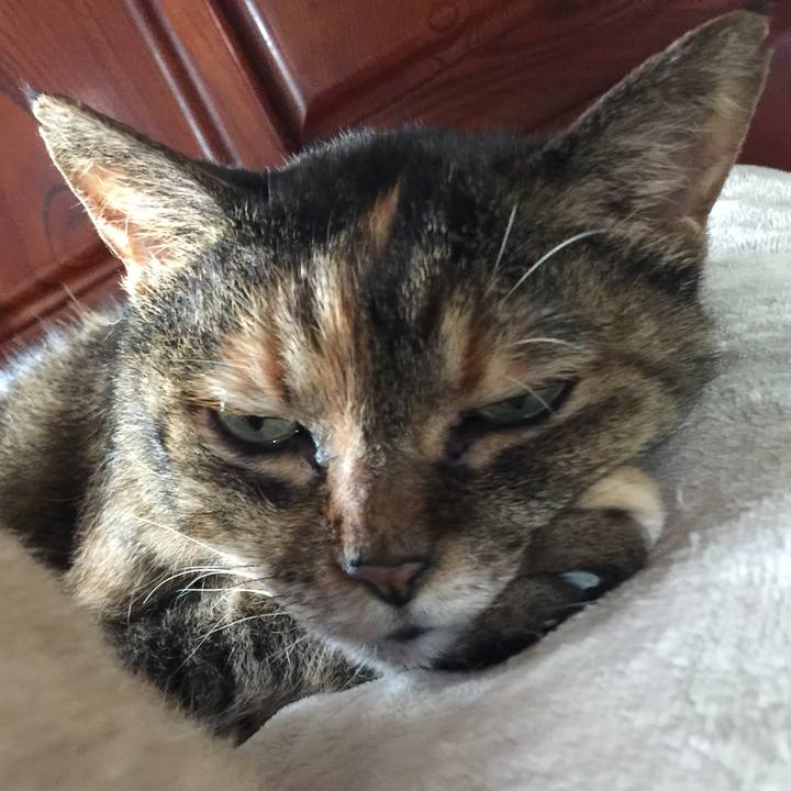 5fbdcdb5 5dc7 40e4 b5c0 e4ee72f37890 1629243132803