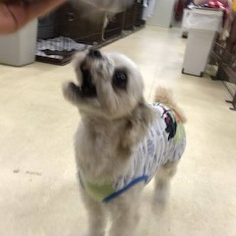 5fbdd2ae 016c 4c62 80bc 9fb2cfc82a64 1521113245513