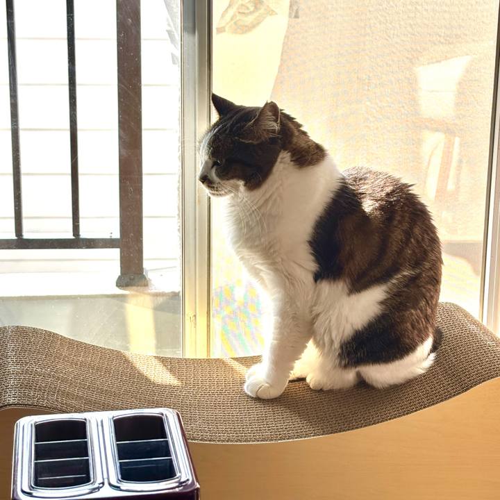 5fbdd35c 24d1 4352 bf4c d5d500fe4c99 1771033541791