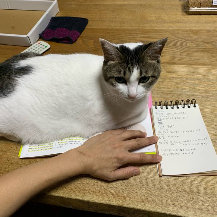 5fbe4fc2 faa1 421e aa3f 431614533398 1598996217886