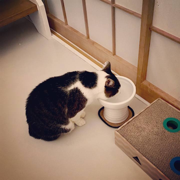 5fbe7e42 eafc 4cb6 ba53 0ce85695ea4f 1586266541283