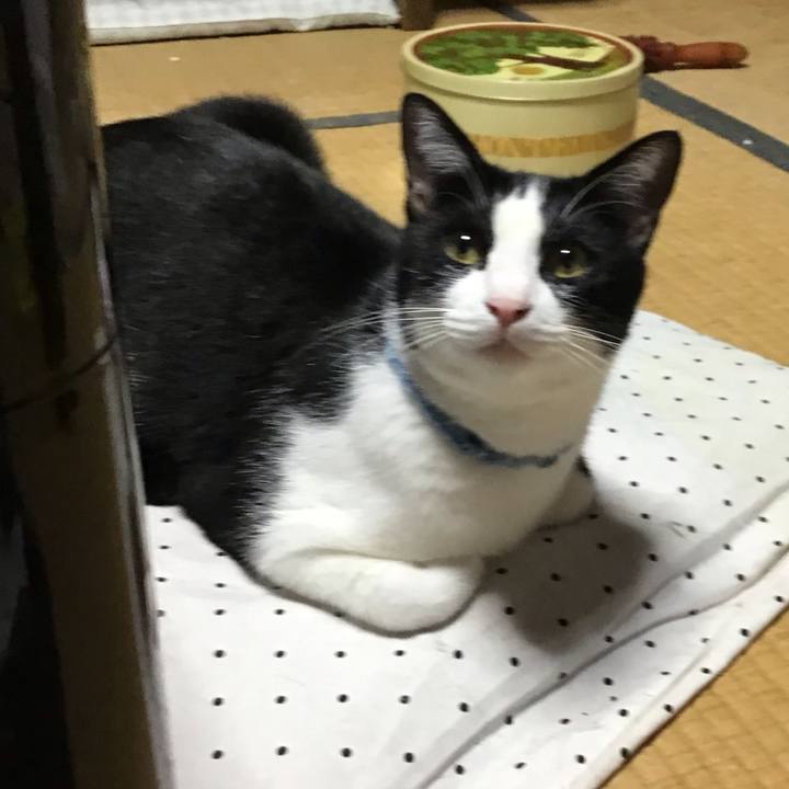 5fbe967b 4629 4616 9068 8788bf9c57e5 1660479669309