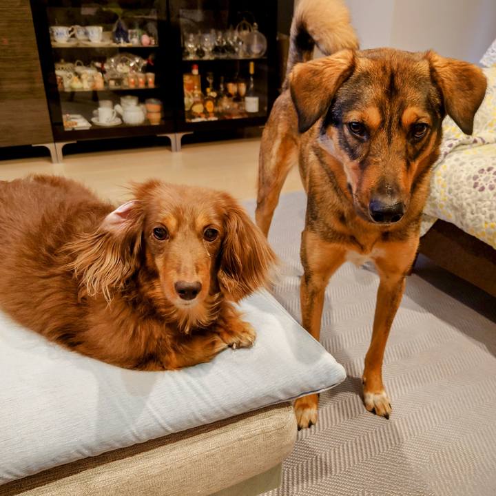 5fbed3a1 422d 4baf 8810 a3416a95adf8 1718505328946