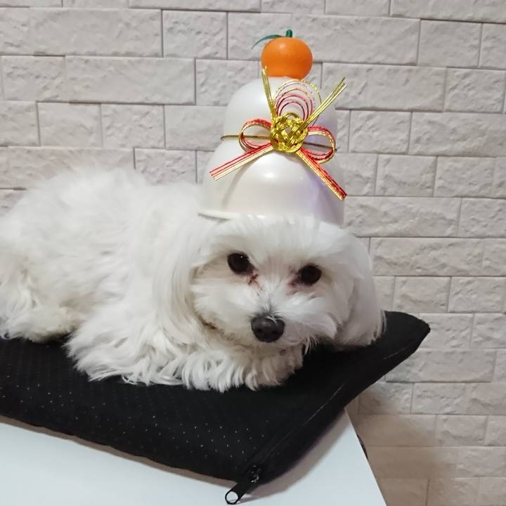 5fbeeeb5 1160 412d 8634 1968f3bd3483 1610372941908