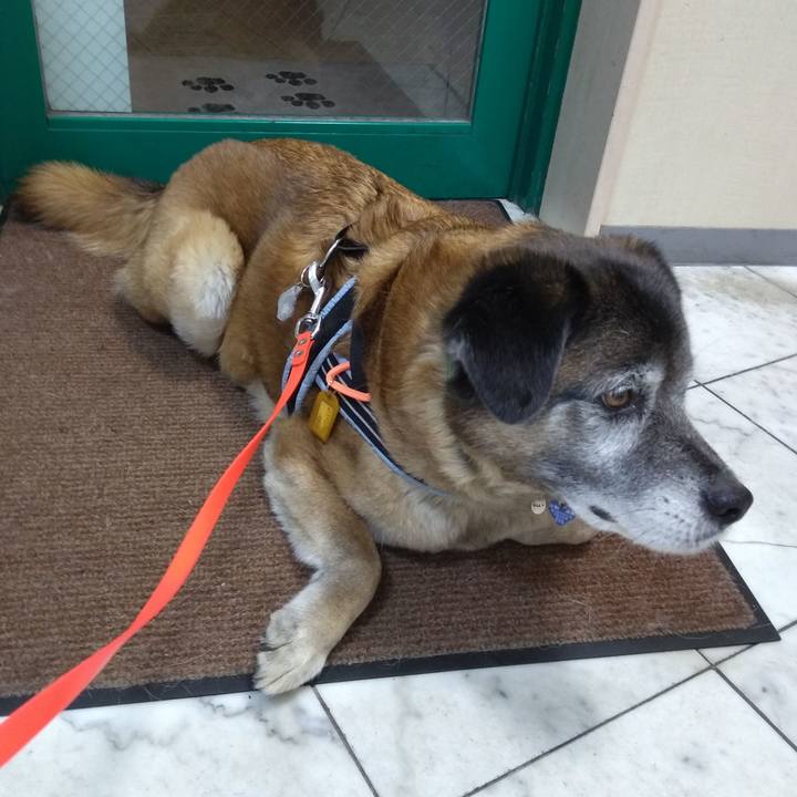 5fbef299 dc3f 4e9a 8e97 6a4fd1a8f2ec 1557484745662