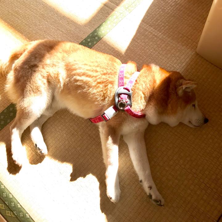 5fbf007e 4882 453e 8efc 742339f6974e 1514092322344