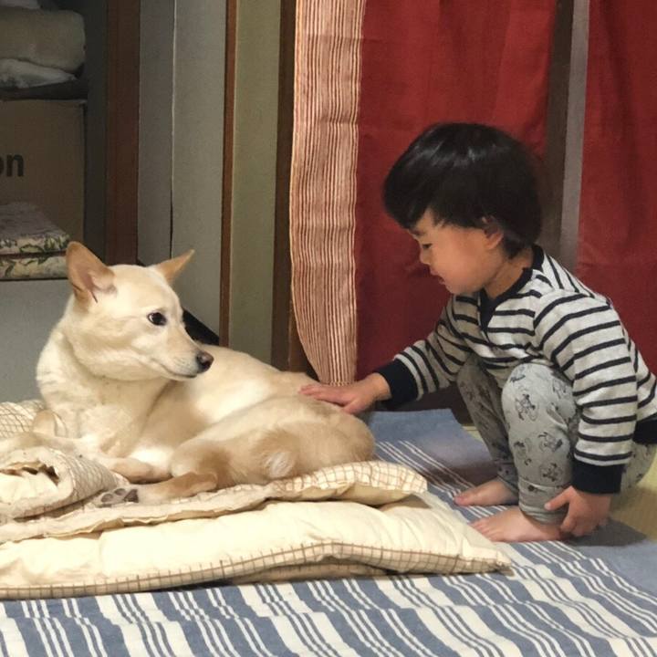 5fbf1d71 e70c 4733 9061 e059c3167063 1556683294308