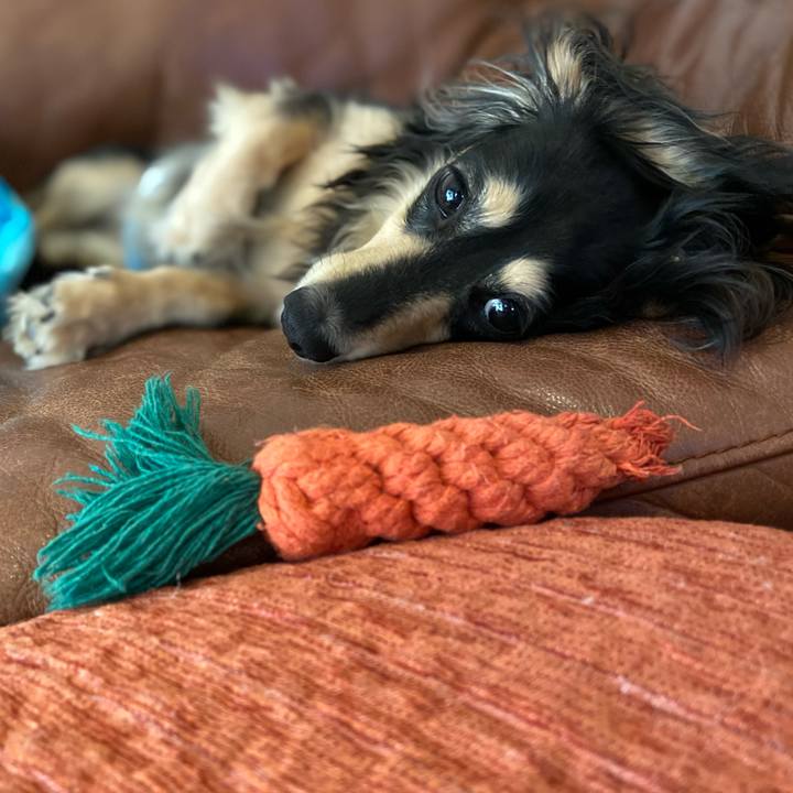 5fbf1ea5 fd08 40d8 9867 04bb65b06b21 1716938962346