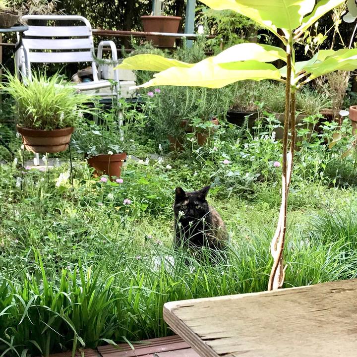 5fbf26ca 504c 444f 876d 599a7bdcbbea 1556879161525