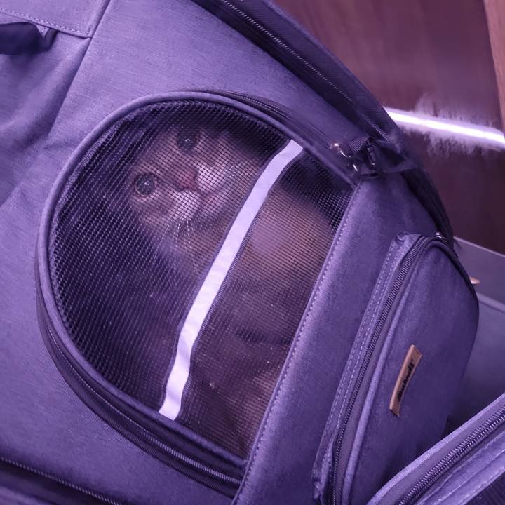 5fbf39fc a784 4e10 b773 d193640b0d66 1690706343381