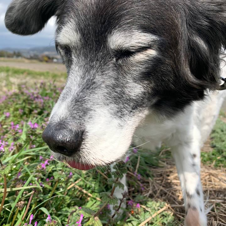 5fbf5b9f dc71 4cb3 baf7 95cad91ad2ba 1582720278017